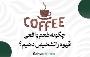 چگونه طعم واقعی قهوه را تشخیص دهیم؟