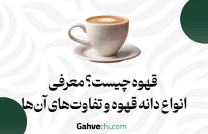 قهوه چیست؟ معرفی انواع دانه‌ قهوه و تفاوت‌های آن‌ها