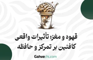 قهوه و مغز؛ تأثیرات واقعی کافئین بر تمرکز و حافظه