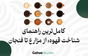 کامل‌ترین راهنمای شناخت قهوه: از مزارع تا فنجان