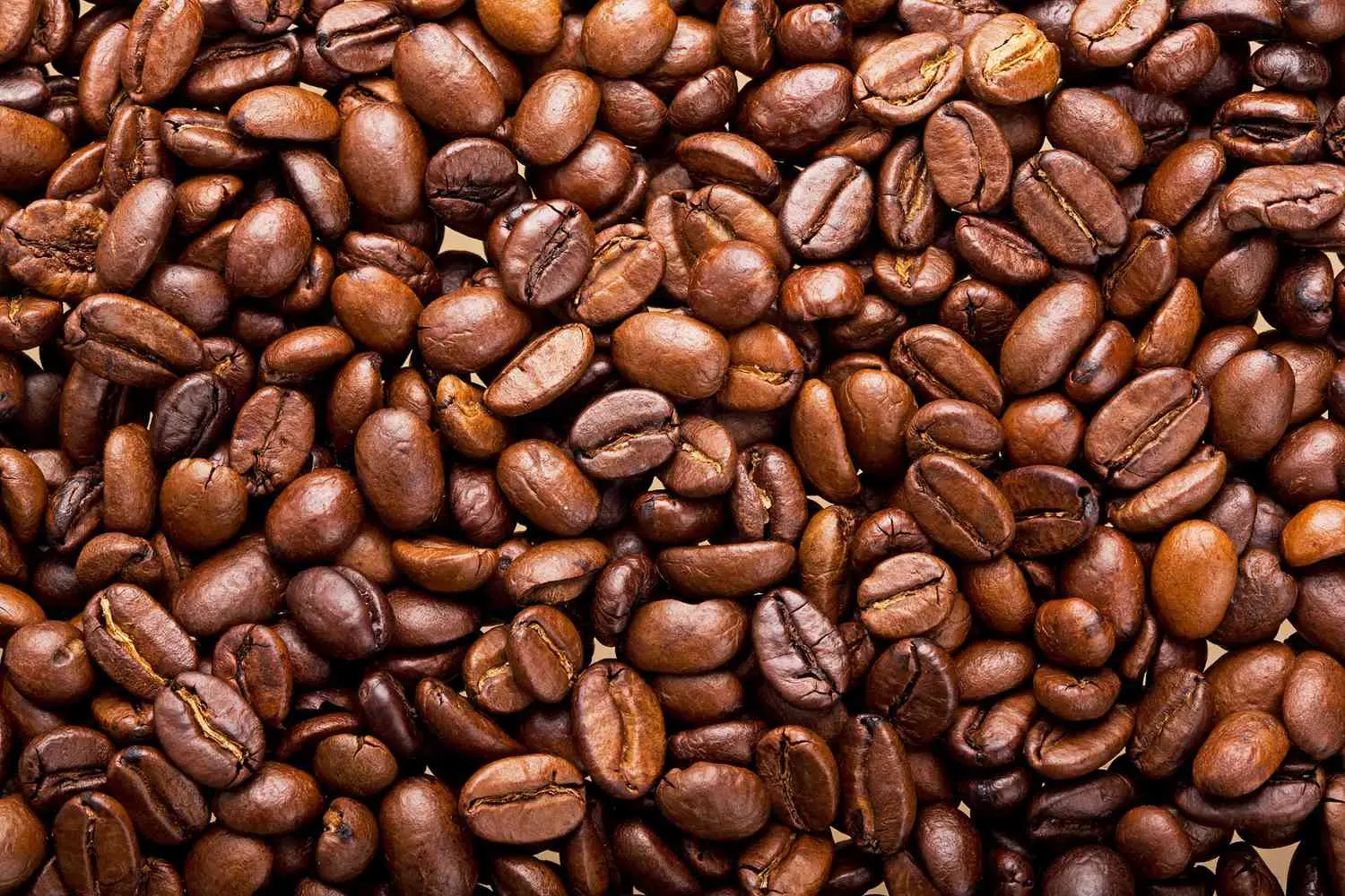 تفاوت قهوه عربیکا و روبوستا چیست؟ کدام بهتر است؟